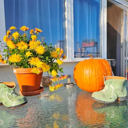 Attrait L'atelier View And Terrace Βουκουρέστι